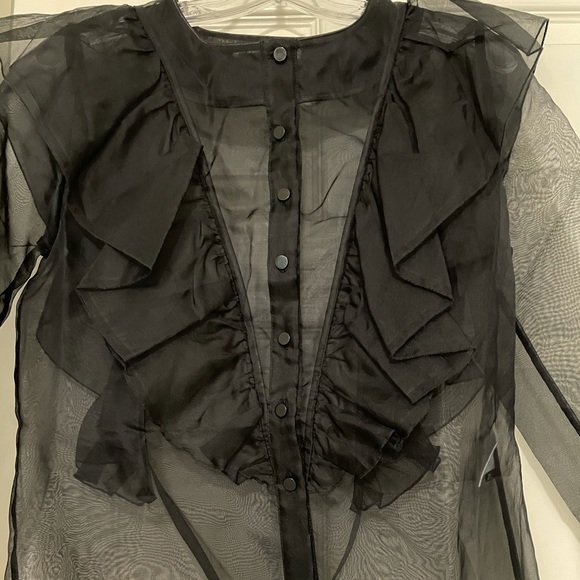 Stunning Rodebjer organza ruffle blouse 💯% silk. - Picture 12 of 16